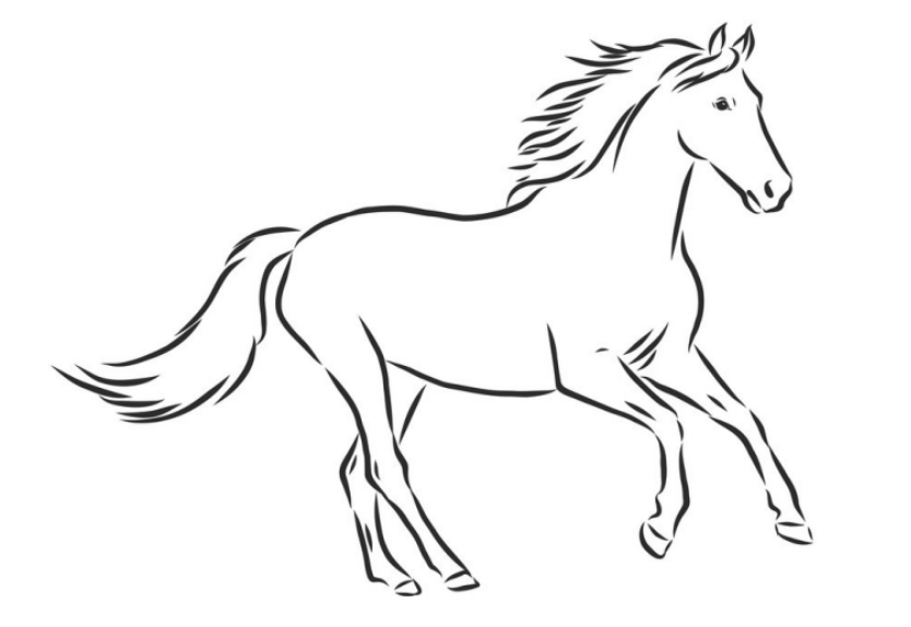 Original Horse Drawing